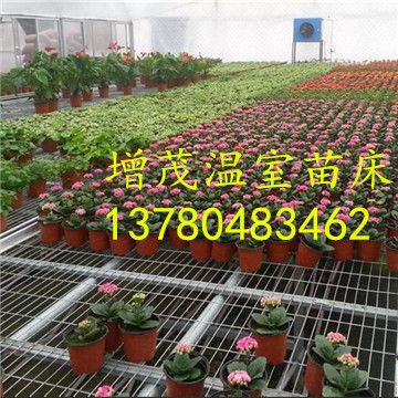 溫室<a href='/' target='_blank'><a href='http://xjwulian.com/miaochuangsheshi/203.html'target='_blank'>花架網(wǎng)</a></a>廠家 溫室<a href='/' target='_blank'><a href='http://xjwulian.com/miaochuangsheshi/203.html'target='_blank'>花架網(wǎng)</a></a>廠家